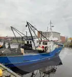 Portatore di pesci vivi in vendita