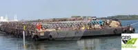 Chiatta in vendita