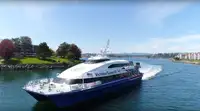 Catamarano in vendita
