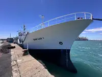 Trawler in vendita