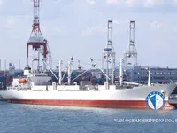 Nave refrigerata in vendita