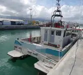 Nave di servizio per parchi eolici in vendita