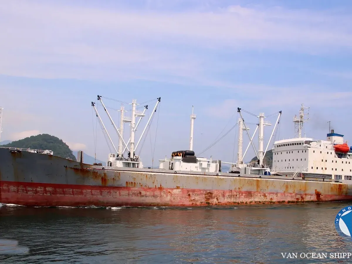 Nave refrigerata in vendita