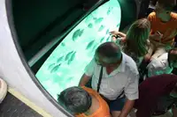 Sottomarino in vendita