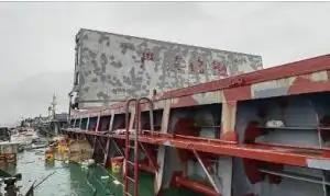 Trasportatore di merci sfuse in vendita