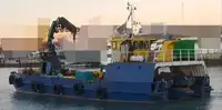 Imbarcazioni da lavoro in vendita