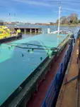 Trasportatore di merci sfuse in vendita