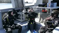 Nave da ricerca in vendita