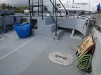 Catamarano in vendita