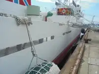Pattugliatore in vendita