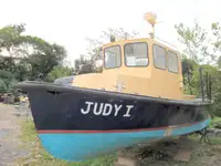 Chiatta in vendita