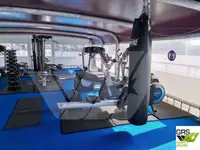 Nave da crociera in vendita
