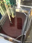 Peschereccio a strascico a trave in vendita