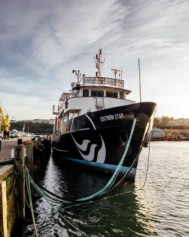 Nave da rilevamento in vendita