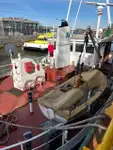 Trasportatore di merci sfuse in vendita