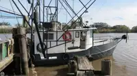 Trawler in vendita