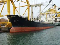 Trasportatore di merci sfuse in vendita
