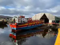 Ro-Ro ship in vendita