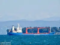 Trasportatore di merci sfuse in vendita