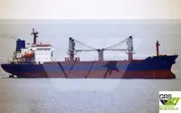 Trasportatore di merci sfuse in vendita