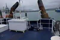 Rimorchiatore in vendita