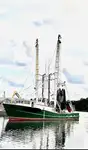 Trawler in vendita