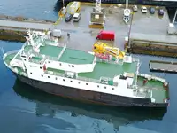 Nave Ro-Ro in vendita