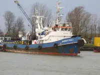 Rimorchiatore in vendita