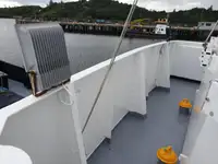 Nave da crociera in vendita