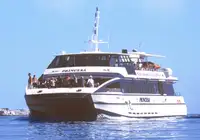 Catamarano in vendita