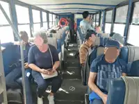 Anfibio in vendita
