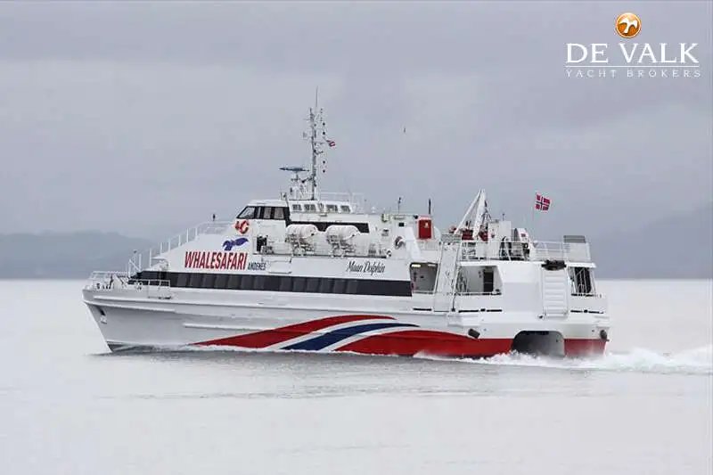 Catamarano in vendita
