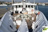Nave da crociera in vendita