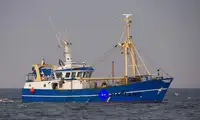 Beam trawler in vendita