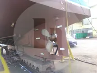Trasportatore di pesce vivo in vendita