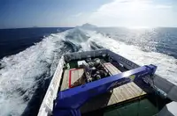 Trasportatore di merci sfuse in vendita