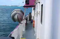 General Cargo/Multi-purpose in vendita