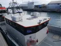 Catamarano in vendita