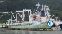 Nave refrigerata in vendita