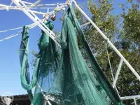 Peschereccio a strascico in vendita