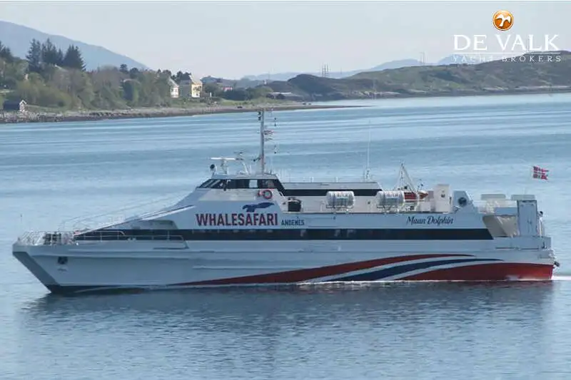 Catamarano in vendita