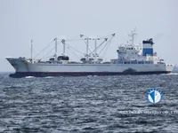 Nave refrigerata in vendita