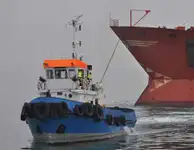 Rimorchiatore in vendita