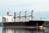 Portarinfuse in vendita