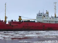 Nave refrigerata in vendita