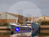 Peschereccio a strascico in vendita