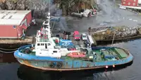 Rimorchiatore in vendita
