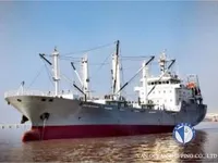 Nave refrigerata in vendita
