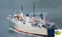 Nave Ro-Ro in vendita