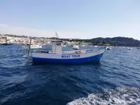 Peschereccio a strascico in vendita